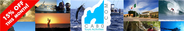 cabo tours activities banner