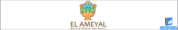 el ameyal hotel banner