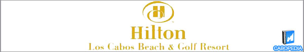 hotel hilton banner