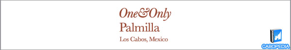 one and only palmilla banner
