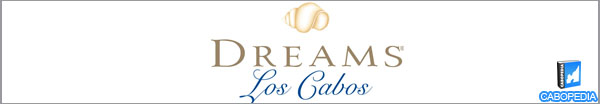 dreams los cabos banner